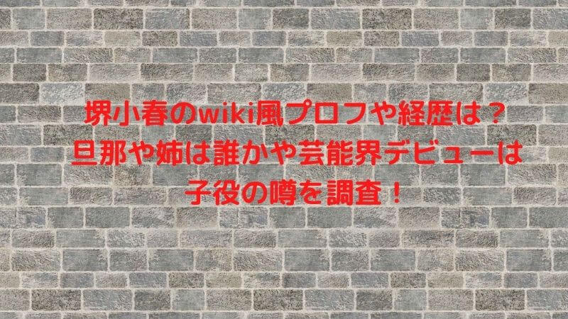 堺小春,wiki,経歴