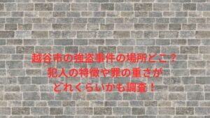 越谷市,強盗事件,場所,どこ